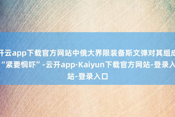 开云app下载官方网站中俄大界限装备斯文弹对其组成了“紧要恫吓”-云开app·Kaiyun下载官方网站-登录入口